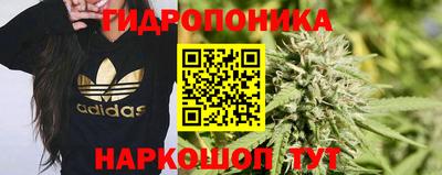 хмурый Малгобек