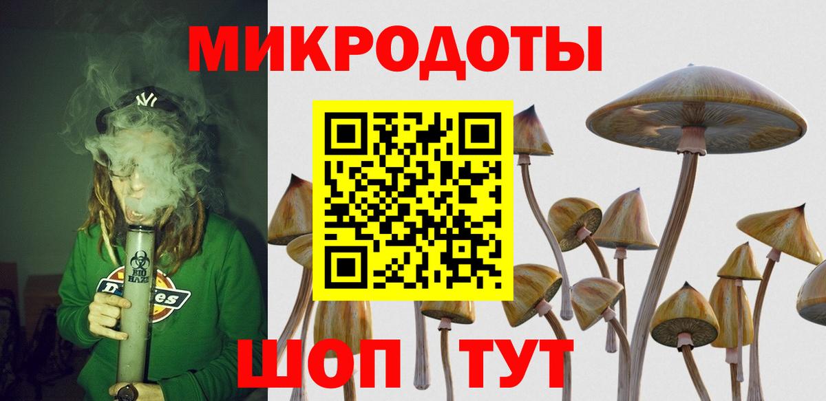Грязи  Псилоцибиновые грибы мицелий  где найти   Вход с VPN 
