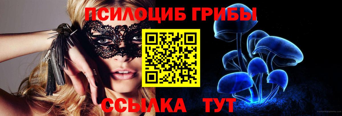 Псилоцибиновые грибы Psilocybe Грязи