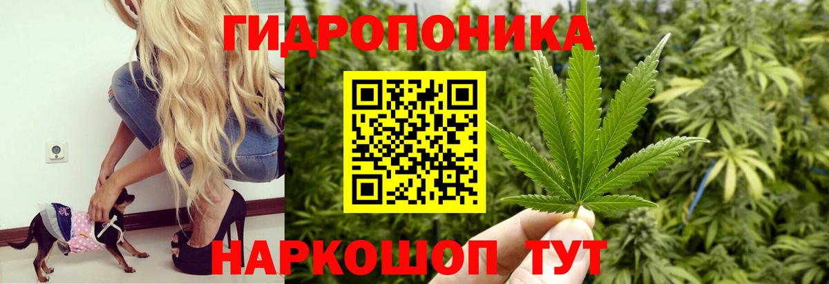 Марихуана индика  МАРИХУАНА план  Грязи  Вход с VPN 